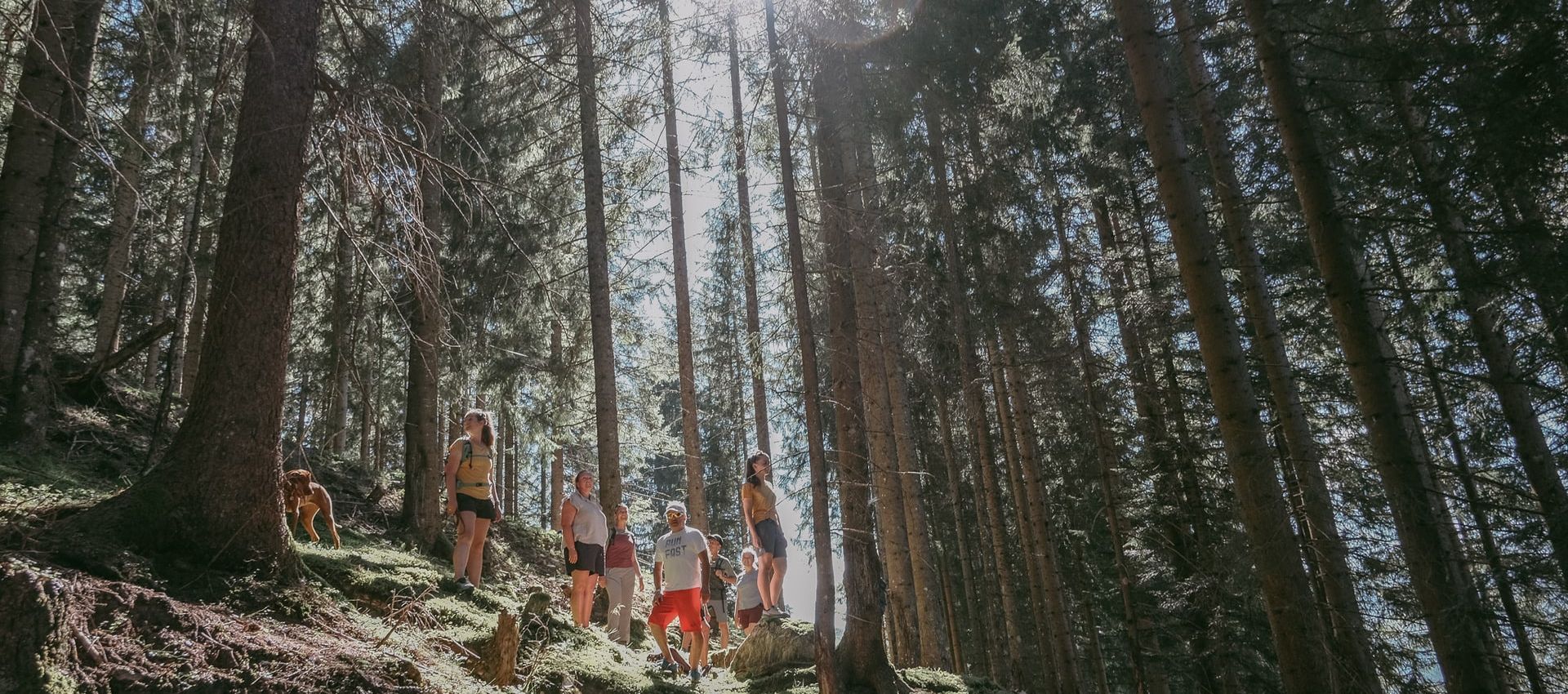 Einige Leute im Wald.